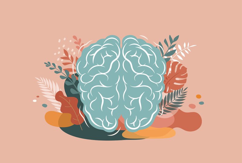 برخی تحقیقات نشان داده‌اند مدیتیشن می‌تواند ابعاد مغز شما را افزایش دهد. در نتیجه خواهید توانست به‌طور قابل ملاحظه‌ای، هوش خود را توسعه دهید و به پرورش خلاقیت‌تان بپردازید.